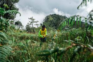 BIB: 
                            <button type="button" onclick="openModal(25278494)" class="btn btn-primary btn-sm float-right btn-popup" data-toggle="modal" data-target=".modal-high-quality">
                        <i class="fas fa-shopping-cart"></i> Add to Cart
                    </button>
                                            <button type="button" onclick="isThisMe(25278494, true)" class="btn btn-success btn-sm float-right btn-popup btn-isme hidden" data-toggle="tooltip" data-placement="bottom" title="นี่คือรูปของคุณใช่ไหม คลิกที่นี่เพื่อเอาเข้าอัลบั้ม">
                        <i class="fas fa-plus"></i> Add to album
                    </button>
                    <button type="button" onclick="isThisMe(25278494, false)" class="btn btn-warning btn-sm float-right btn-popup btn-isnotme hidden">
                        <i class="fas fa-ban"></i> Remove from album
                    </button>