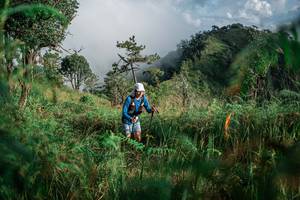 BIB: 
                            <button type="button" onclick="openModal(25272268)" class="btn btn-primary btn-sm float-right btn-popup" data-toggle="modal" data-target=".modal-high-quality">
                        <i class="fas fa-shopping-cart"></i> Add to Cart
                    </button>
                                            <button type="button" onclick="isThisMe(25272268, true)" class="btn btn-success btn-sm float-right btn-popup btn-isme hidden" data-toggle="tooltip" data-placement="bottom" title="นี่คือรูปของคุณใช่ไหม คลิกที่นี่เพื่อเอาเข้าอัลบั้ม">
                        <i class="fas fa-plus"></i> Add to album
                    </button>
                    <button type="button" onclick="isThisMe(25272268, false)" class="btn btn-warning btn-sm float-right btn-popup btn-isnotme hidden">
                        <i class="fas fa-ban"></i> Remove from album
                    </button>