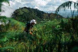 BIB: 
                            <button type="button" onclick="openModal(25272660)" class="btn btn-primary btn-sm float-right btn-popup" data-toggle="modal" data-target=".modal-high-quality">
                        <i class="fas fa-shopping-cart"></i> Add to Cart
                    </button>
                                            <button type="button" onclick="isThisMe(25272660, true)" class="btn btn-success btn-sm float-right btn-popup btn-isme hidden" data-toggle="tooltip" data-placement="bottom" title="นี่คือรูปของคุณใช่ไหม คลิกที่นี่เพื่อเอาเข้าอัลบั้ม">
                        <i class="fas fa-plus"></i> Add to album
                    </button>
                    <button type="button" onclick="isThisMe(25272660, false)" class="btn btn-warning btn-sm float-right btn-popup btn-isnotme hidden">
                        <i class="fas fa-ban"></i> Remove from album
                    </button>