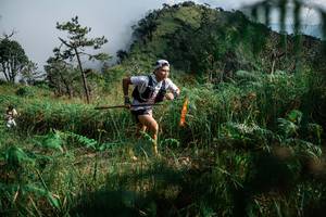 BIB: 
                            <button type="button" onclick="openModal(25272636)" class="btn btn-primary btn-sm float-right btn-popup" data-toggle="modal" data-target=".modal-high-quality">
                        <i class="fas fa-shopping-cart"></i> Add to Cart
                    </button>
                                            <button type="button" onclick="isThisMe(25272636, true)" class="btn btn-success btn-sm float-right btn-popup btn-isme hidden" data-toggle="tooltip" data-placement="bottom" title="นี่คือรูปของคุณใช่ไหม คลิกที่นี่เพื่อเอาเข้าอัลบั้ม">
                        <i class="fas fa-plus"></i> Add to album
                    </button>
                    <button type="button" onclick="isThisMe(25272636, false)" class="btn btn-warning btn-sm float-right btn-popup btn-isnotme hidden">
                        <i class="fas fa-ban"></i> Remove from album
                    </button>