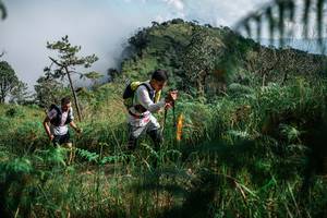 BIB: 
                            <button type="button" onclick="openModal(25272595)" class="btn btn-primary btn-sm float-right btn-popup" data-toggle="modal" data-target=".modal-high-quality">
                        <i class="fas fa-shopping-cart"></i> Add to Cart
                    </button>
                                            <button type="button" onclick="isThisMe(25272595, true)" class="btn btn-success btn-sm float-right btn-popup btn-isme hidden" data-toggle="tooltip" data-placement="bottom" title="นี่คือรูปของคุณใช่ไหม คลิกที่นี่เพื่อเอาเข้าอัลบั้ม">
                        <i class="fas fa-plus"></i> Add to album
                    </button>
                    <button type="button" onclick="isThisMe(25272595, false)" class="btn btn-warning btn-sm float-right btn-popup btn-isnotme hidden">
                        <i class="fas fa-ban"></i> Remove from album
                    </button>