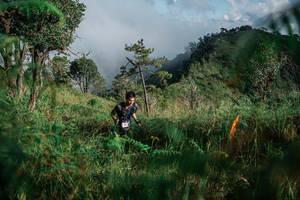 BIB: 
                            <button type="button" onclick="openModal(25271253)" class="btn btn-primary btn-sm float-right btn-popup" data-toggle="modal" data-target=".modal-high-quality">
                        <i class="fas fa-shopping-cart"></i> Add to Cart
                    </button>
                                            <button type="button" onclick="isThisMe(25271253, true)" class="btn btn-success btn-sm float-right btn-popup btn-isme hidden" data-toggle="tooltip" data-placement="bottom" title="นี่คือรูปของคุณใช่ไหม คลิกที่นี่เพื่อเอาเข้าอัลบั้ม">
                        <i class="fas fa-plus"></i> Add to album
                    </button>
                    <button type="button" onclick="isThisMe(25271253, false)" class="btn btn-warning btn-sm float-right btn-popup btn-isnotme hidden">
                        <i class="fas fa-ban"></i> Remove from album
                    </button>