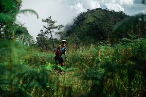 BIB: 
                            <button type="button" onclick="openModal(25272608)" class="btn btn-primary btn-sm float-right btn-popup" data-toggle="modal" data-target=".modal-high-quality">
                        <i class="fas fa-shopping-cart"></i> Add to Cart
                    </button>
                                            <button type="button" onclick="isThisMe(25272608, true)" class="btn btn-success btn-sm float-right btn-popup btn-isme hidden" data-toggle="tooltip" data-placement="bottom" title="นี่คือรูปของคุณใช่ไหม คลิกที่นี่เพื่อเอาเข้าอัลบั้ม">
                        <i class="fas fa-plus"></i> Add to album
                    </button>
                    <button type="button" onclick="isThisMe(25272608, false)" class="btn btn-warning btn-sm float-right btn-popup btn-isnotme hidden">
                        <i class="fas fa-ban"></i> Remove from album
                    </button>