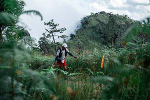 BIB: 
                            <button type="button" onclick="openModal(25277701)" class="btn btn-primary btn-sm float-right btn-popup" data-toggle="modal" data-target=".modal-high-quality">
                        <i class="fas fa-shopping-cart"></i> Add to Cart
                    </button>
                                            <button type="button" onclick="isThisMe(25277701, true)" class="btn btn-success btn-sm float-right btn-popup btn-isme hidden" data-toggle="tooltip" data-placement="bottom" title="นี่คือรูปของคุณใช่ไหม คลิกที่นี่เพื่อเอาเข้าอัลบั้ม">
                        <i class="fas fa-plus"></i> Add to album
                    </button>
                    <button type="button" onclick="isThisMe(25277701, false)" class="btn btn-warning btn-sm float-right btn-popup btn-isnotme hidden">
                        <i class="fas fa-ban"></i> Remove from album
                    </button>