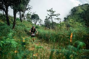 BIB: 
                            <button type="button" onclick="openModal(25277790)" class="btn btn-primary btn-sm float-right btn-popup" data-toggle="modal" data-target=".modal-high-quality">
                        <i class="fas fa-shopping-cart"></i> Add to Cart
                    </button>
                                            <button type="button" onclick="isThisMe(25277790, true)" class="btn btn-success btn-sm float-right btn-popup btn-isme hidden" data-toggle="tooltip" data-placement="bottom" title="นี่คือรูปของคุณใช่ไหม คลิกที่นี่เพื่อเอาเข้าอัลบั้ม">
                        <i class="fas fa-plus"></i> Add to album
                    </button>
                    <button type="button" onclick="isThisMe(25277790, false)" class="btn btn-warning btn-sm float-right btn-popup btn-isnotme hidden">
                        <i class="fas fa-ban"></i> Remove from album
                    </button>