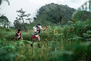 BIB: 
                            <button type="button" onclick="openModal(25271835)" class="btn btn-primary btn-sm float-right btn-popup" data-toggle="modal" data-target=".modal-high-quality">
                        <i class="fas fa-shopping-cart"></i> Add to Cart
                    </button>
                                            <button type="button" onclick="isThisMe(25271835, true)" class="btn btn-success btn-sm float-right btn-popup btn-isme hidden" data-toggle="tooltip" data-placement="bottom" title="นี่คือรูปของคุณใช่ไหม คลิกที่นี่เพื่อเอาเข้าอัลบั้ม">
                        <i class="fas fa-plus"></i> Add to album
                    </button>
                    <button type="button" onclick="isThisMe(25271835, false)" class="btn btn-warning btn-sm float-right btn-popup btn-isnotme hidden">
                        <i class="fas fa-ban"></i> Remove from album
                    </button>