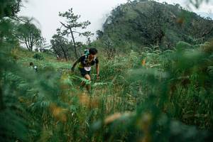 BIB: 
                            <button type="button" onclick="openModal(25272064)" class="btn btn-primary btn-sm float-right btn-popup" data-toggle="modal" data-target=".modal-high-quality">
                        <i class="fas fa-shopping-cart"></i> Add to Cart
                    </button>
                                            <button type="button" onclick="isThisMe(25272064, true)" class="btn btn-success btn-sm float-right btn-popup btn-isme hidden" data-toggle="tooltip" data-placement="bottom" title="นี่คือรูปของคุณใช่ไหม คลิกที่นี่เพื่อเอาเข้าอัลบั้ม">
                        <i class="fas fa-plus"></i> Add to album
                    </button>
                    <button type="button" onclick="isThisMe(25272064, false)" class="btn btn-warning btn-sm float-right btn-popup btn-isnotme hidden">
                        <i class="fas fa-ban"></i> Remove from album
                    </button>