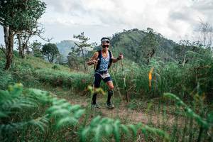 BIB: 
                            <button type="button" onclick="openModal(25264257)" class="btn btn-primary btn-sm float-right btn-popup" data-toggle="modal" data-target=".modal-high-quality">
                        <i class="fas fa-shopping-cart"></i> Add to Cart
                    </button>
                                            <button type="button" onclick="isThisMe(25264257, true)" class="btn btn-success btn-sm float-right btn-popup btn-isme hidden" data-toggle="tooltip" data-placement="bottom" title="นี่คือรูปของคุณใช่ไหม คลิกที่นี่เพื่อเอาเข้าอัลบั้ม">
                        <i class="fas fa-plus"></i> Add to album
                    </button>
                    <button type="button" onclick="isThisMe(25264257, false)" class="btn btn-warning btn-sm float-right btn-popup btn-isnotme hidden">
                        <i class="fas fa-ban"></i> Remove from album
                    </button>