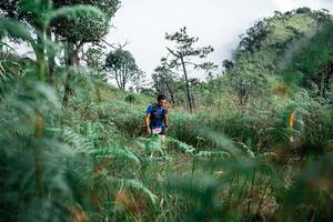 BIB: 
                            <button type="button" onclick="openModal(25277417)" class="btn btn-primary btn-sm float-right btn-popup" data-toggle="modal" data-target=".modal-high-quality">
                        <i class="fas fa-shopping-cart"></i> Add to Cart
                    </button>
                                            <button type="button" onclick="isThisMe(25277417, true)" class="btn btn-success btn-sm float-right btn-popup btn-isme hidden" data-toggle="tooltip" data-placement="bottom" title="นี่คือรูปของคุณใช่ไหม คลิกที่นี่เพื่อเอาเข้าอัลบั้ม">
                        <i class="fas fa-plus"></i> Add to album
                    </button>
                    <button type="button" onclick="isThisMe(25277417, false)" class="btn btn-warning btn-sm float-right btn-popup btn-isnotme hidden">
                        <i class="fas fa-ban"></i> Remove from album
                    </button>