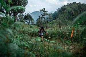 BIB: 
                            <button type="button" onclick="openModal(25265360)" class="btn btn-primary btn-sm float-right btn-popup" data-toggle="modal" data-target=".modal-high-quality">
                        <i class="fas fa-shopping-cart"></i> Add to Cart
                    </button>
                                            <button type="button" onclick="isThisMe(25265360, true)" class="btn btn-success btn-sm float-right btn-popup btn-isme hidden" data-toggle="tooltip" data-placement="bottom" title="นี่คือรูปของคุณใช่ไหม คลิกที่นี่เพื่อเอาเข้าอัลบั้ม">
                        <i class="fas fa-plus"></i> Add to album
                    </button>
                    <button type="button" onclick="isThisMe(25265360, false)" class="btn btn-warning btn-sm float-right btn-popup btn-isnotme hidden">
                        <i class="fas fa-ban"></i> Remove from album
                    </button>