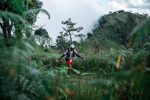 BIB: 
                            <button type="button" onclick="openModal(25277708)" class="btn btn-primary btn-sm float-right btn-popup" data-toggle="modal" data-target=".modal-high-quality">
                        <i class="fas fa-shopping-cart"></i> Add to Cart
                    </button>
                                            <button type="button" onclick="isThisMe(25277708, true)" class="btn btn-success btn-sm float-right btn-popup btn-isme hidden" data-toggle="tooltip" data-placement="bottom" title="นี่คือรูปของคุณใช่ไหม คลิกที่นี่เพื่อเอาเข้าอัลบั้ม">
                        <i class="fas fa-plus"></i> Add to album
                    </button>
                    <button type="button" onclick="isThisMe(25277708, false)" class="btn btn-warning btn-sm float-right btn-popup btn-isnotme hidden">
                        <i class="fas fa-ban"></i> Remove from album
                    </button>