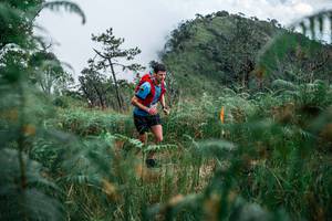 BIB: 
                            <button type="button" onclick="openModal(25275917)" class="btn btn-primary btn-sm float-right btn-popup" data-toggle="modal" data-target=".modal-high-quality">
                        <i class="fas fa-shopping-cart"></i> Add to Cart
                    </button>
                                            <button type="button" onclick="isThisMe(25275917, true)" class="btn btn-success btn-sm float-right btn-popup btn-isme hidden" data-toggle="tooltip" data-placement="bottom" title="นี่คือรูปของคุณใช่ไหม คลิกที่นี่เพื่อเอาเข้าอัลบั้ม">
                        <i class="fas fa-plus"></i> Add to album
                    </button>
                    <button type="button" onclick="isThisMe(25275917, false)" class="btn btn-warning btn-sm float-right btn-popup btn-isnotme hidden">
                        <i class="fas fa-ban"></i> Remove from album
                    </button>