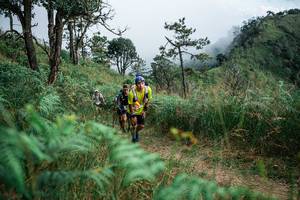 BIB: 
                            <button type="button" onclick="openModal(25267124)" class="btn btn-primary btn-sm float-right btn-popup" data-toggle="modal" data-target=".modal-high-quality">
                        <i class="fas fa-shopping-cart"></i> Add to Cart
                    </button>
                                            <button type="button" onclick="isThisMe(25267124, true)" class="btn btn-success btn-sm float-right btn-popup btn-isme hidden" data-toggle="tooltip" data-placement="bottom" title="นี่คือรูปของคุณใช่ไหม คลิกที่นี่เพื่อเอาเข้าอัลบั้ม">
                        <i class="fas fa-plus"></i> Add to album
                    </button>
                    <button type="button" onclick="isThisMe(25267124, false)" class="btn btn-warning btn-sm float-right btn-popup btn-isnotme hidden">
                        <i class="fas fa-ban"></i> Remove from album
                    </button>