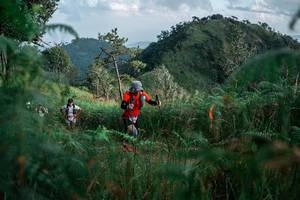 BIB: 
                            <button type="button" onclick="openModal(25266114)" class="btn btn-primary btn-sm float-right btn-popup" data-toggle="modal" data-target=".modal-high-quality">
                        <i class="fas fa-shopping-cart"></i> Add to Cart
                    </button>
                                            <button type="button" onclick="isThisMe(25266114, true)" class="btn btn-success btn-sm float-right btn-popup btn-isme hidden" data-toggle="tooltip" data-placement="bottom" title="นี่คือรูปของคุณใช่ไหม คลิกที่นี่เพื่อเอาเข้าอัลบั้ม">
                        <i class="fas fa-plus"></i> Add to album
                    </button>
                    <button type="button" onclick="isThisMe(25266114, false)" class="btn btn-warning btn-sm float-right btn-popup btn-isnotme hidden">
                        <i class="fas fa-ban"></i> Remove from album
                    </button>