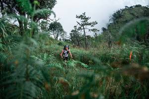 BIB: 
                            <button type="button" onclick="openModal(25274637)" class="btn btn-primary btn-sm float-right btn-popup" data-toggle="modal" data-target=".modal-high-quality">
                        <i class="fas fa-shopping-cart"></i> Add to Cart
                    </button>
                                            <button type="button" onclick="isThisMe(25274637, true)" class="btn btn-success btn-sm float-right btn-popup btn-isme hidden" data-toggle="tooltip" data-placement="bottom" title="นี่คือรูปของคุณใช่ไหม คลิกที่นี่เพื่อเอาเข้าอัลบั้ม">
                        <i class="fas fa-plus"></i> Add to album
                    </button>
                    <button type="button" onclick="isThisMe(25274637, false)" class="btn btn-warning btn-sm float-right btn-popup btn-isnotme hidden">
                        <i class="fas fa-ban"></i> Remove from album
                    </button>