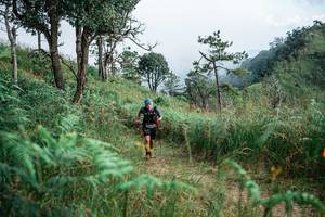 BIB: 
                            <button type="button" onclick="openModal(25267655)" class="btn btn-primary btn-sm float-right btn-popup" data-toggle="modal" data-target=".modal-high-quality">
                        <i class="fas fa-shopping-cart"></i> Add to Cart
                    </button>
                                            <button type="button" onclick="isThisMe(25267655, true)" class="btn btn-success btn-sm float-right btn-popup btn-isme hidden" data-toggle="tooltip" data-placement="bottom" title="นี่คือรูปของคุณใช่ไหม คลิกที่นี่เพื่อเอาเข้าอัลบั้ม">
                        <i class="fas fa-plus"></i> Add to album
                    </button>
                    <button type="button" onclick="isThisMe(25267655, false)" class="btn btn-warning btn-sm float-right btn-popup btn-isnotme hidden">
                        <i class="fas fa-ban"></i> Remove from album
                    </button>