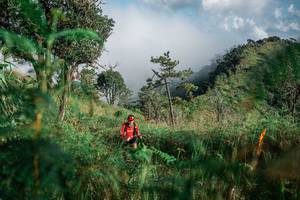 BIB: 
                            <button type="button" onclick="openModal(25272428)" class="btn btn-primary btn-sm float-right btn-popup" data-toggle="modal" data-target=".modal-high-quality">
                        <i class="fas fa-shopping-cart"></i> Add to Cart
                    </button>
                                            <button type="button" onclick="isThisMe(25272428, true)" class="btn btn-success btn-sm float-right btn-popup btn-isme hidden" data-toggle="tooltip" data-placement="bottom" title="นี่คือรูปของคุณใช่ไหม คลิกที่นี่เพื่อเอาเข้าอัลบั้ม">
                        <i class="fas fa-plus"></i> Add to album
                    </button>
                    <button type="button" onclick="isThisMe(25272428, false)" class="btn btn-warning btn-sm float-right btn-popup btn-isnotme hidden">
                        <i class="fas fa-ban"></i> Remove from album
                    </button>