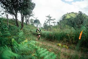 BIB: 
                            <button type="button" onclick="openModal(25267308)" class="btn btn-primary btn-sm float-right btn-popup" data-toggle="modal" data-target=".modal-high-quality">
                        <i class="fas fa-shopping-cart"></i> Add to Cart
                    </button>
                                            <button type="button" onclick="isThisMe(25267308, true)" class="btn btn-success btn-sm float-right btn-popup btn-isme hidden" data-toggle="tooltip" data-placement="bottom" title="นี่คือรูปของคุณใช่ไหม คลิกที่นี่เพื่อเอาเข้าอัลบั้ม">
                        <i class="fas fa-plus"></i> Add to album
                    </button>
                    <button type="button" onclick="isThisMe(25267308, false)" class="btn btn-warning btn-sm float-right btn-popup btn-isnotme hidden">
                        <i class="fas fa-ban"></i> Remove from album
                    </button>