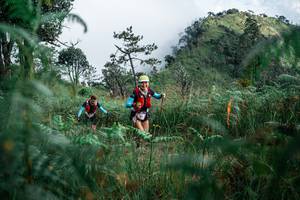 BIB: 
                            <button type="button" onclick="openModal(25273778)" class="btn btn-primary btn-sm float-right btn-popup" data-toggle="modal" data-target=".modal-high-quality">
                        <i class="fas fa-shopping-cart"></i> Add to Cart
                    </button>
                                            <button type="button" onclick="isThisMe(25273778, true)" class="btn btn-success btn-sm float-right btn-popup btn-isme hidden" data-toggle="tooltip" data-placement="bottom" title="นี่คือรูปของคุณใช่ไหม คลิกที่นี่เพื่อเอาเข้าอัลบั้ม">
                        <i class="fas fa-plus"></i> Add to album
                    </button>
                    <button type="button" onclick="isThisMe(25273778, false)" class="btn btn-warning btn-sm float-right btn-popup btn-isnotme hidden">
                        <i class="fas fa-ban"></i> Remove from album
                    </button>