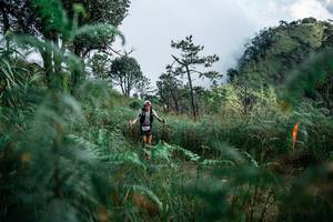 BIB: 
                            <button type="button" onclick="openModal(25277549)" class="btn btn-primary btn-sm float-right btn-popup" data-toggle="modal" data-target=".modal-high-quality">
                        <i class="fas fa-shopping-cart"></i> Add to Cart
                    </button>
                                            <button type="button" onclick="isThisMe(25277549, true)" class="btn btn-success btn-sm float-right btn-popup btn-isme hidden" data-toggle="tooltip" data-placement="bottom" title="นี่คือรูปของคุณใช่ไหม คลิกที่นี่เพื่อเอาเข้าอัลบั้ม">
                        <i class="fas fa-plus"></i> Add to album
                    </button>
                    <button type="button" onclick="isThisMe(25277549, false)" class="btn btn-warning btn-sm float-right btn-popup btn-isnotme hidden">
                        <i class="fas fa-ban"></i> Remove from album
                    </button>