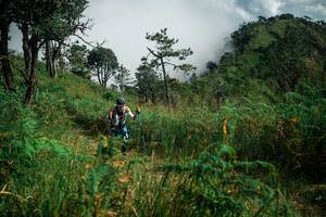 BIB: 
                            <button type="button" onclick="openModal(25270080)" class="btn btn-primary btn-sm float-right btn-popup" data-toggle="modal" data-target=".modal-high-quality">
                        <i class="fas fa-shopping-cart"></i> Add to Cart
                    </button>
                                            <button type="button" onclick="isThisMe(25270080, true)" class="btn btn-success btn-sm float-right btn-popup btn-isme hidden" data-toggle="tooltip" data-placement="bottom" title="นี่คือรูปของคุณใช่ไหม คลิกที่นี่เพื่อเอาเข้าอัลบั้ม">
                        <i class="fas fa-plus"></i> Add to album
                    </button>
                    <button type="button" onclick="isThisMe(25270080, false)" class="btn btn-warning btn-sm float-right btn-popup btn-isnotme hidden">
                        <i class="fas fa-ban"></i> Remove from album
                    </button>