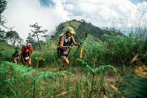 BIB: 
                            <button type="button" onclick="openModal(25268166)" class="btn btn-primary btn-sm float-right btn-popup" data-toggle="modal" data-target=".modal-high-quality">
                        <i class="fas fa-shopping-cart"></i> Add to Cart
                    </button>
                                            <button type="button" onclick="isThisMe(25268166, true)" class="btn btn-success btn-sm float-right btn-popup btn-isme hidden" data-toggle="tooltip" data-placement="bottom" title="นี่คือรูปของคุณใช่ไหม คลิกที่นี่เพื่อเอาเข้าอัลบั้ม">
                        <i class="fas fa-plus"></i> Add to album
                    </button>
                    <button type="button" onclick="isThisMe(25268166, false)" class="btn btn-warning btn-sm float-right btn-popup btn-isnotme hidden">
                        <i class="fas fa-ban"></i> Remove from album
                    </button>