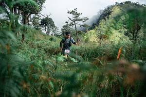 BIB: 
                            <button type="button" onclick="openModal(25266444)" class="btn btn-primary btn-sm float-right btn-popup" data-toggle="modal" data-target=".modal-high-quality">
                        <i class="fas fa-shopping-cart"></i> Add to Cart
                    </button>
                                            <button type="button" onclick="isThisMe(25266444, true)" class="btn btn-success btn-sm float-right btn-popup btn-isme hidden" data-toggle="tooltip" data-placement="bottom" title="นี่คือรูปของคุณใช่ไหม คลิกที่นี่เพื่อเอาเข้าอัลบั้ม">
                        <i class="fas fa-plus"></i> Add to album
                    </button>
                    <button type="button" onclick="isThisMe(25266444, false)" class="btn btn-warning btn-sm float-right btn-popup btn-isnotme hidden">
                        <i class="fas fa-ban"></i> Remove from album
                    </button>