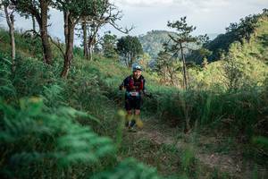 BIB: 
                            <button type="button" onclick="openModal(25264496)" class="btn btn-primary btn-sm float-right btn-popup" data-toggle="modal" data-target=".modal-high-quality">
                        <i class="fas fa-shopping-cart"></i> Add to Cart
                    </button>
                                            <button type="button" onclick="isThisMe(25264496, true)" class="btn btn-success btn-sm float-right btn-popup btn-isme hidden" data-toggle="tooltip" data-placement="bottom" title="นี่คือรูปของคุณใช่ไหม คลิกที่นี่เพื่อเอาเข้าอัลบั้ม">
                        <i class="fas fa-plus"></i> Add to album
                    </button>
                    <button type="button" onclick="isThisMe(25264496, false)" class="btn btn-warning btn-sm float-right btn-popup btn-isnotme hidden">
                        <i class="fas fa-ban"></i> Remove from album
                    </button>