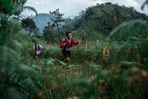 BIB: 
                            <button type="button" onclick="openModal(25265452)" class="btn btn-primary btn-sm float-right btn-popup" data-toggle="modal" data-target=".modal-high-quality">
                        <i class="fas fa-shopping-cart"></i> Add to Cart
                    </button>
                                            <button type="button" onclick="isThisMe(25265452, true)" class="btn btn-success btn-sm float-right btn-popup btn-isme hidden" data-toggle="tooltip" data-placement="bottom" title="นี่คือรูปของคุณใช่ไหม คลิกที่นี่เพื่อเอาเข้าอัลบั้ม">
                        <i class="fas fa-plus"></i> Add to album
                    </button>
                    <button type="button" onclick="isThisMe(25265452, false)" class="btn btn-warning btn-sm float-right btn-popup btn-isnotme hidden">
                        <i class="fas fa-ban"></i> Remove from album
                    </button>