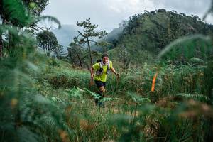 BIB: 
                            <button type="button" onclick="openModal(25265927)" class="btn btn-primary btn-sm float-right btn-popup" data-toggle="modal" data-target=".modal-high-quality">
                        <i class="fas fa-shopping-cart"></i> Add to Cart
                    </button>
                                            <button type="button" onclick="isThisMe(25265927, true)" class="btn btn-success btn-sm float-right btn-popup btn-isme hidden" data-toggle="tooltip" data-placement="bottom" title="นี่คือรูปของคุณใช่ไหม คลิกที่นี่เพื่อเอาเข้าอัลบั้ม">
                        <i class="fas fa-plus"></i> Add to album
                    </button>
                    <button type="button" onclick="isThisMe(25265927, false)" class="btn btn-warning btn-sm float-right btn-popup btn-isnotme hidden">
                        <i class="fas fa-ban"></i> Remove from album
                    </button>