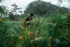 BIB: 
                            <button type="button" onclick="openModal(25271992)" class="btn btn-primary btn-sm float-right btn-popup" data-toggle="modal" data-target=".modal-high-quality">
                        <i class="fas fa-shopping-cart"></i> Add to Cart
                    </button>
                                            <button type="button" onclick="isThisMe(25271992, true)" class="btn btn-success btn-sm float-right btn-popup btn-isme hidden" data-toggle="tooltip" data-placement="bottom" title="นี่คือรูปของคุณใช่ไหม คลิกที่นี่เพื่อเอาเข้าอัลบั้ม">
                        <i class="fas fa-plus"></i> Add to album
                    </button>
                    <button type="button" onclick="isThisMe(25271992, false)" class="btn btn-warning btn-sm float-right btn-popup btn-isnotme hidden">
                        <i class="fas fa-ban"></i> Remove from album
                    </button>