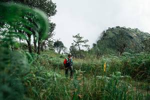 BIB: 
                            <button type="button" onclick="openModal(25278556)" class="btn btn-primary btn-sm float-right btn-popup" data-toggle="modal" data-target=".modal-high-quality">
                        <i class="fas fa-shopping-cart"></i> Add to Cart
                    </button>
                                            <button type="button" onclick="isThisMe(25278556, true)" class="btn btn-success btn-sm float-right btn-popup btn-isme hidden" data-toggle="tooltip" data-placement="bottom" title="นี่คือรูปของคุณใช่ไหม คลิกที่นี่เพื่อเอาเข้าอัลบั้ม">
                        <i class="fas fa-plus"></i> Add to album
                    </button>
                    <button type="button" onclick="isThisMe(25278556, false)" class="btn btn-warning btn-sm float-right btn-popup btn-isnotme hidden">
                        <i class="fas fa-ban"></i> Remove from album
                    </button>