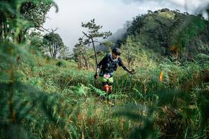 BIB: 
                            <button type="button" onclick="openModal(25266234)" class="btn btn-primary btn-sm float-right btn-popup" data-toggle="modal" data-target=".modal-high-quality">
                        <i class="fas fa-shopping-cart"></i> Add to Cart
                    </button>
                                            <button type="button" onclick="isThisMe(25266234, true)" class="btn btn-success btn-sm float-right btn-popup btn-isme hidden" data-toggle="tooltip" data-placement="bottom" title="นี่คือรูปของคุณใช่ไหม คลิกที่นี่เพื่อเอาเข้าอัลบั้ม">
                        <i class="fas fa-plus"></i> Add to album
                    </button>
                    <button type="button" onclick="isThisMe(25266234, false)" class="btn btn-warning btn-sm float-right btn-popup btn-isnotme hidden">
                        <i class="fas fa-ban"></i> Remove from album
                    </button>