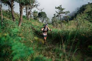 BIB: 
                            <button type="button" onclick="openModal(25272849)" class="btn btn-primary btn-sm float-right btn-popup" data-toggle="modal" data-target=".modal-high-quality">
                        <i class="fas fa-shopping-cart"></i> Add to Cart
                    </button>
                                            <button type="button" onclick="isThisMe(25272849, true)" class="btn btn-success btn-sm float-right btn-popup btn-isme hidden" data-toggle="tooltip" data-placement="bottom" title="นี่คือรูปของคุณใช่ไหม คลิกที่นี่เพื่อเอาเข้าอัลบั้ม">
                        <i class="fas fa-plus"></i> Add to album
                    </button>
                    <button type="button" onclick="isThisMe(25272849, false)" class="btn btn-warning btn-sm float-right btn-popup btn-isnotme hidden">
                        <i class="fas fa-ban"></i> Remove from album
                    </button>