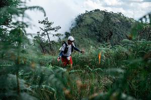 BIB: 
                            <button type="button" onclick="openModal(25277660)" class="btn btn-primary btn-sm float-right btn-popup" data-toggle="modal" data-target=".modal-high-quality">
                        <i class="fas fa-shopping-cart"></i> Add to Cart
                    </button>
                                            <button type="button" onclick="isThisMe(25277660, true)" class="btn btn-success btn-sm float-right btn-popup btn-isme hidden" data-toggle="tooltip" data-placement="bottom" title="นี่คือรูปของคุณใช่ไหม คลิกที่นี่เพื่อเอาเข้าอัลบั้ม">
                        <i class="fas fa-plus"></i> Add to album
                    </button>
                    <button type="button" onclick="isThisMe(25277660, false)" class="btn btn-warning btn-sm float-right btn-popup btn-isnotme hidden">
                        <i class="fas fa-ban"></i> Remove from album
                    </button>