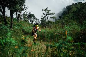 BIB: 
                            <button type="button" onclick="openModal(25276329)" class="btn btn-primary btn-sm float-right btn-popup" data-toggle="modal" data-target=".modal-high-quality">
                        <i class="fas fa-shopping-cart"></i> Add to Cart
                    </button>
                                            <button type="button" onclick="isThisMe(25276329, true)" class="btn btn-success btn-sm float-right btn-popup btn-isme hidden" data-toggle="tooltip" data-placement="bottom" title="นี่คือรูปของคุณใช่ไหม คลิกที่นี่เพื่อเอาเข้าอัลบั้ม">
                        <i class="fas fa-plus"></i> Add to album
                    </button>
                    <button type="button" onclick="isThisMe(25276329, false)" class="btn btn-warning btn-sm float-right btn-popup btn-isnotme hidden">
                        <i class="fas fa-ban"></i> Remove from album
                    </button>