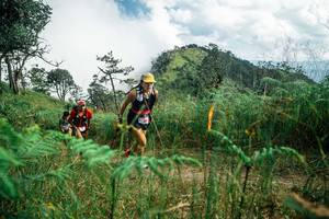 BIB: 
                            <button type="button" onclick="openModal(25268202)" class="btn btn-primary btn-sm float-right btn-popup" data-toggle="modal" data-target=".modal-high-quality">
                        <i class="fas fa-shopping-cart"></i> Add to Cart
                    </button>
                                            <button type="button" onclick="isThisMe(25268202, true)" class="btn btn-success btn-sm float-right btn-popup btn-isme hidden" data-toggle="tooltip" data-placement="bottom" title="นี่คือรูปของคุณใช่ไหม คลิกที่นี่เพื่อเอาเข้าอัลบั้ม">
                        <i class="fas fa-plus"></i> Add to album
                    </button>
                    <button type="button" onclick="isThisMe(25268202, false)" class="btn btn-warning btn-sm float-right btn-popup btn-isnotme hidden">
                        <i class="fas fa-ban"></i> Remove from album
                    </button>