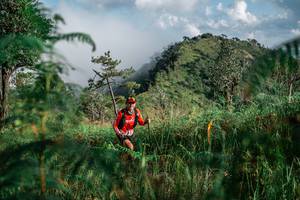 BIB: 
                            <button type="button" onclick="openModal(25272384)" class="btn btn-primary btn-sm float-right btn-popup" data-toggle="modal" data-target=".modal-high-quality">
                        <i class="fas fa-shopping-cart"></i> Add to Cart
                    </button>
                                            <button type="button" onclick="isThisMe(25272384, true)" class="btn btn-success btn-sm float-right btn-popup btn-isme hidden" data-toggle="tooltip" data-placement="bottom" title="นี่คือรูปของคุณใช่ไหม คลิกที่นี่เพื่อเอาเข้าอัลบั้ม">
                        <i class="fas fa-plus"></i> Add to album
                    </button>
                    <button type="button" onclick="isThisMe(25272384, false)" class="btn btn-warning btn-sm float-right btn-popup btn-isnotme hidden">
                        <i class="fas fa-ban"></i> Remove from album
                    </button>