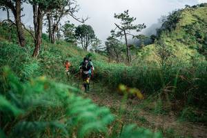 BIB: 
                            <button type="button" onclick="openModal(25273275)" class="btn btn-primary btn-sm float-right btn-popup" data-toggle="modal" data-target=".modal-high-quality">
                        <i class="fas fa-shopping-cart"></i> Add to Cart
                    </button>
                                            <button type="button" onclick="isThisMe(25273275, true)" class="btn btn-success btn-sm float-right btn-popup btn-isme hidden" data-toggle="tooltip" data-placement="bottom" title="นี่คือรูปของคุณใช่ไหม คลิกที่นี่เพื่อเอาเข้าอัลบั้ม">
                        <i class="fas fa-plus"></i> Add to album
                    </button>
                    <button type="button" onclick="isThisMe(25273275, false)" class="btn btn-warning btn-sm float-right btn-popup btn-isnotme hidden">
                        <i class="fas fa-ban"></i> Remove from album
                    </button>