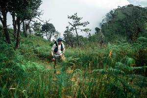 BIB: 
                            <button type="button" onclick="openModal(25272745)" class="btn btn-primary btn-sm float-right btn-popup" data-toggle="modal" data-target=".modal-high-quality">
                        <i class="fas fa-shopping-cart"></i> Add to Cart
                    </button>
                                            <button type="button" onclick="isThisMe(25272745, true)" class="btn btn-success btn-sm float-right btn-popup btn-isme hidden" data-toggle="tooltip" data-placement="bottom" title="นี่คือรูปของคุณใช่ไหม คลิกที่นี่เพื่อเอาเข้าอัลบั้ม">
                        <i class="fas fa-plus"></i> Add to album
                    </button>
                    <button type="button" onclick="isThisMe(25272745, false)" class="btn btn-warning btn-sm float-right btn-popup btn-isnotme hidden">
                        <i class="fas fa-ban"></i> Remove from album
                    </button>