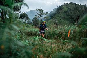 BIB: 
                            <button type="button" onclick="openModal(25265597)" class="btn btn-primary btn-sm float-right btn-popup" data-toggle="modal" data-target=".modal-high-quality">
                        <i class="fas fa-shopping-cart"></i> Add to Cart
                    </button>
                                            <button type="button" onclick="isThisMe(25265597, true)" class="btn btn-success btn-sm float-right btn-popup btn-isme hidden" data-toggle="tooltip" data-placement="bottom" title="นี่คือรูปของคุณใช่ไหม คลิกที่นี่เพื่อเอาเข้าอัลบั้ม">
                        <i class="fas fa-plus"></i> Add to album
                    </button>
                    <button type="button" onclick="isThisMe(25265597, false)" class="btn btn-warning btn-sm float-right btn-popup btn-isnotme hidden">
                        <i class="fas fa-ban"></i> Remove from album
                    </button>