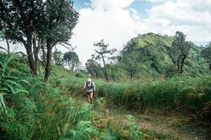 BIB: 
                            <button type="button" onclick="openModal(25268697)" class="btn btn-primary btn-sm float-right btn-popup" data-toggle="modal" data-target=".modal-high-quality">
                        <i class="fas fa-shopping-cart"></i> Add to Cart
                    </button>
                                            <button type="button" onclick="isThisMe(25268697, true)" class="btn btn-success btn-sm float-right btn-popup btn-isme hidden" data-toggle="tooltip" data-placement="bottom" title="นี่คือรูปของคุณใช่ไหม คลิกที่นี่เพื่อเอาเข้าอัลบั้ม">
                        <i class="fas fa-plus"></i> Add to album
                    </button>
                    <button type="button" onclick="isThisMe(25268697, false)" class="btn btn-warning btn-sm float-right btn-popup btn-isnotme hidden">
                        <i class="fas fa-ban"></i> Remove from album
                    </button>