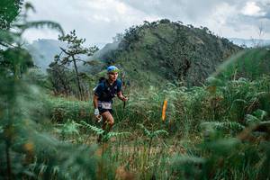 BIB: 
                            <button type="button" onclick="openModal(25265574)" class="btn btn-primary btn-sm float-right btn-popup" data-toggle="modal" data-target=".modal-high-quality">
                        <i class="fas fa-shopping-cart"></i> Add to Cart
                    </button>
                                            <button type="button" onclick="isThisMe(25265574, true)" class="btn btn-success btn-sm float-right btn-popup btn-isme hidden" data-toggle="tooltip" data-placement="bottom" title="นี่คือรูปของคุณใช่ไหม คลิกที่นี่เพื่อเอาเข้าอัลบั้ม">
                        <i class="fas fa-plus"></i> Add to album
                    </button>
                    <button type="button" onclick="isThisMe(25265574, false)" class="btn btn-warning btn-sm float-right btn-popup btn-isnotme hidden">
                        <i class="fas fa-ban"></i> Remove from album
                    </button>