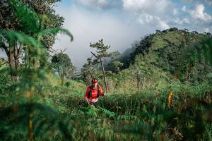 BIB: 
                            <button type="button" onclick="openModal(25272394)" class="btn btn-primary btn-sm float-right btn-popup" data-toggle="modal" data-target=".modal-high-quality">
                        <i class="fas fa-shopping-cart"></i> Add to Cart
                    </button>
                                            <button type="button" onclick="isThisMe(25272394, true)" class="btn btn-success btn-sm float-right btn-popup btn-isme hidden" data-toggle="tooltip" data-placement="bottom" title="นี่คือรูปของคุณใช่ไหม คลิกที่นี่เพื่อเอาเข้าอัลบั้ม">
                        <i class="fas fa-plus"></i> Add to album
                    </button>
                    <button type="button" onclick="isThisMe(25272394, false)" class="btn btn-warning btn-sm float-right btn-popup btn-isnotme hidden">
                        <i class="fas fa-ban"></i> Remove from album
                    </button>