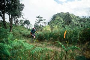 BIB: 
                            <button type="button" onclick="openModal(25267406)" class="btn btn-primary btn-sm float-right btn-popup" data-toggle="modal" data-target=".modal-high-quality">
                        <i class="fas fa-shopping-cart"></i> Add to Cart
                    </button>
                                            <button type="button" onclick="isThisMe(25267406, true)" class="btn btn-success btn-sm float-right btn-popup btn-isme hidden" data-toggle="tooltip" data-placement="bottom" title="นี่คือรูปของคุณใช่ไหม คลิกที่นี่เพื่อเอาเข้าอัลบั้ม">
                        <i class="fas fa-plus"></i> Add to album
                    </button>
                    <button type="button" onclick="isThisMe(25267406, false)" class="btn btn-warning btn-sm float-right btn-popup btn-isnotme hidden">
                        <i class="fas fa-ban"></i> Remove from album
                    </button>