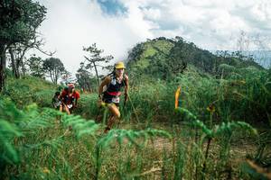 BIB: 
                            <button type="button" onclick="openModal(25268216)" class="btn btn-primary btn-sm float-right btn-popup" data-toggle="modal" data-target=".modal-high-quality">
                        <i class="fas fa-shopping-cart"></i> Add to Cart
                    </button>
                                            <button type="button" onclick="isThisMe(25268216, true)" class="btn btn-success btn-sm float-right btn-popup btn-isme hidden" data-toggle="tooltip" data-placement="bottom" title="นี่คือรูปของคุณใช่ไหม คลิกที่นี่เพื่อเอาเข้าอัลบั้ม">
                        <i class="fas fa-plus"></i> Add to album
                    </button>
                    <button type="button" onclick="isThisMe(25268216, false)" class="btn btn-warning btn-sm float-right btn-popup btn-isnotme hidden">
                        <i class="fas fa-ban"></i> Remove from album
                    </button>