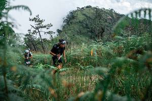 BIB: 
                            <button type="button" onclick="openModal(25276515)" class="btn btn-primary btn-sm float-right btn-popup" data-toggle="modal" data-target=".modal-high-quality">
                        <i class="fas fa-shopping-cart"></i> Add to Cart
                    </button>
                                            <button type="button" onclick="isThisMe(25276515, true)" class="btn btn-success btn-sm float-right btn-popup btn-isme hidden" data-toggle="tooltip" data-placement="bottom" title="นี่คือรูปของคุณใช่ไหม คลิกที่นี่เพื่อเอาเข้าอัลบั้ม">
                        <i class="fas fa-plus"></i> Add to album
                    </button>
                    <button type="button" onclick="isThisMe(25276515, false)" class="btn btn-warning btn-sm float-right btn-popup btn-isnotme hidden">
                        <i class="fas fa-ban"></i> Remove from album
                    </button>