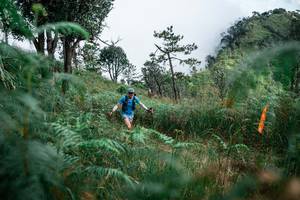 BIB: 
                            <button type="button" onclick="openModal(25275642)" class="btn btn-primary btn-sm float-right btn-popup" data-toggle="modal" data-target=".modal-high-quality">
                        <i class="fas fa-shopping-cart"></i> Add to Cart
                    </button>
                                            <button type="button" onclick="isThisMe(25275642, true)" class="btn btn-success btn-sm float-right btn-popup btn-isme hidden" data-toggle="tooltip" data-placement="bottom" title="นี่คือรูปของคุณใช่ไหม คลิกที่นี่เพื่อเอาเข้าอัลบั้ม">
                        <i class="fas fa-plus"></i> Add to album
                    </button>
                    <button type="button" onclick="isThisMe(25275642, false)" class="btn btn-warning btn-sm float-right btn-popup btn-isnotme hidden">
                        <i class="fas fa-ban"></i> Remove from album
                    </button>