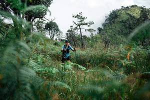 BIB: 
                            <button type="button" onclick="openModal(25270998)" class="btn btn-primary btn-sm float-right btn-popup" data-toggle="modal" data-target=".modal-high-quality">
                        <i class="fas fa-shopping-cart"></i> Add to Cart
                    </button>
                                            <button type="button" onclick="isThisMe(25270998, true)" class="btn btn-success btn-sm float-right btn-popup btn-isme hidden" data-toggle="tooltip" data-placement="bottom" title="นี่คือรูปของคุณใช่ไหม คลิกที่นี่เพื่อเอาเข้าอัลบั้ม">
                        <i class="fas fa-plus"></i> Add to album
                    </button>
                    <button type="button" onclick="isThisMe(25270998, false)" class="btn btn-warning btn-sm float-right btn-popup btn-isnotme hidden">
                        <i class="fas fa-ban"></i> Remove from album
                    </button>