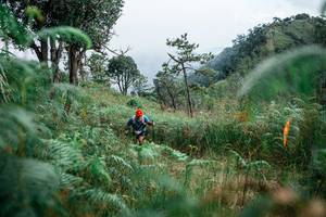 BIB: 
                            <button type="button" onclick="openModal(25267863)" class="btn btn-primary btn-sm float-right btn-popup" data-toggle="modal" data-target=".modal-high-quality">
                        <i class="fas fa-shopping-cart"></i> Add to Cart
                    </button>
                                            <button type="button" onclick="isThisMe(25267863, true)" class="btn btn-success btn-sm float-right btn-popup btn-isme hidden" data-toggle="tooltip" data-placement="bottom" title="นี่คือรูปของคุณใช่ไหม คลิกที่นี่เพื่อเอาเข้าอัลบั้ม">
                        <i class="fas fa-plus"></i> Add to album
                    </button>
                    <button type="button" onclick="isThisMe(25267863, false)" class="btn btn-warning btn-sm float-right btn-popup btn-isnotme hidden">
                        <i class="fas fa-ban"></i> Remove from album
                    </button>